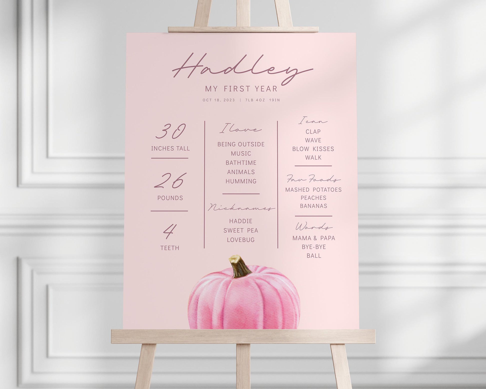 Pink Pumpkin is ONE Backdrop, First Birthday Party Backdrop, Girl Pumpkin Party Decorations - Pink 1st Birthday Banner - FREE US Shipping