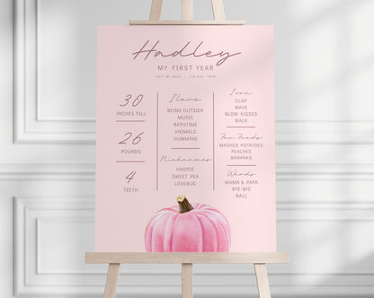 Pink Pumpkin is ONE Backdrop, First Birthday Party Backdrop, Girl Pumpkin Party Decorations - Pink 1st Birthday Banner - FREE US Shipping
