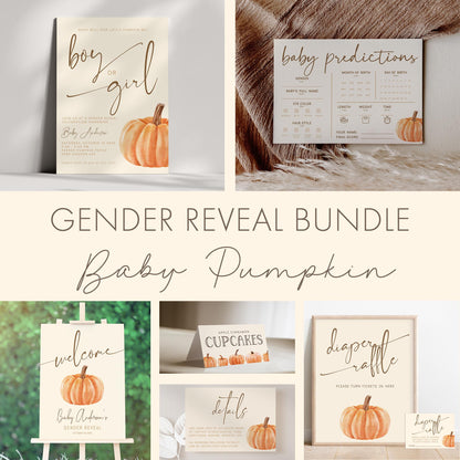 Pumpkin Gender Reveal Backdrop, Fall Baby Shower Banner, Personalized Decor, Minimalist Neutral on the Way Backdrop, FREE US Shipping