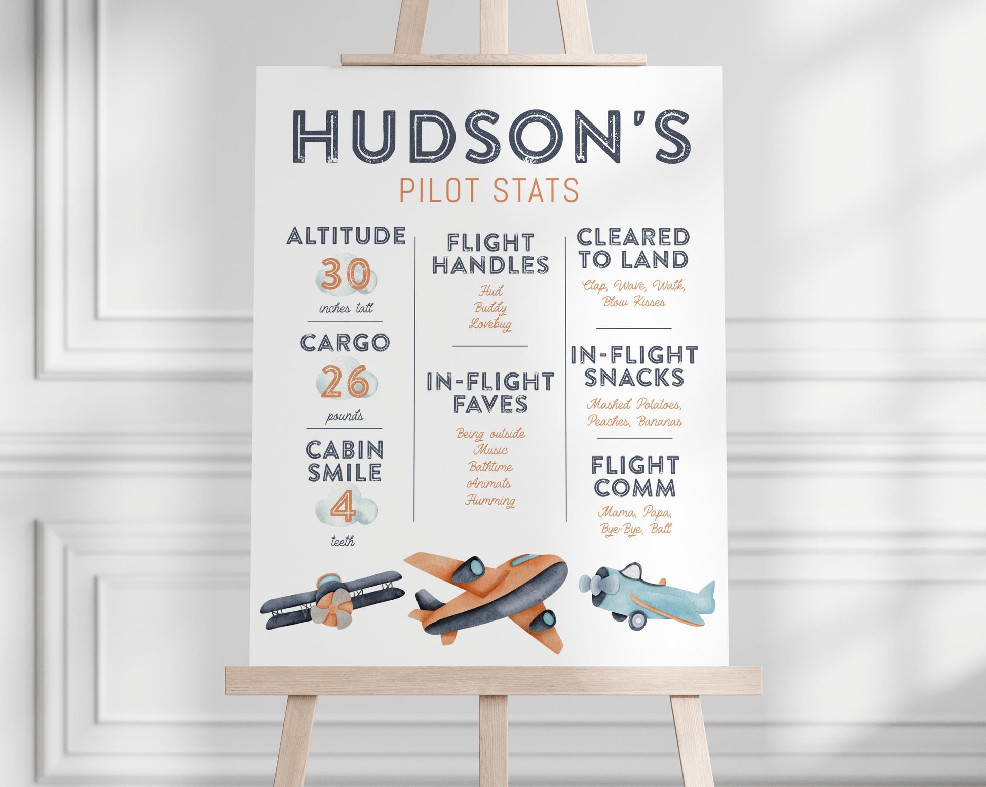 Airplane Birthday BUNDLE - Vintage Plane Birthday Party Decor Package, Time Flies, Two Fly, Signs, Time Capsule, Favors, Printable Editable