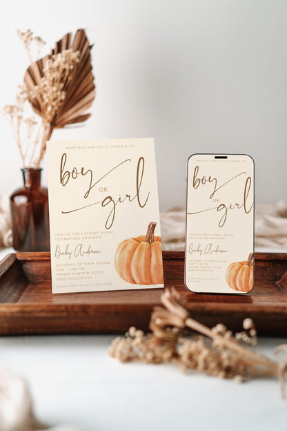 Pumpkin Gender Reveal Invitation Bundle, Editable Printable Invite, Diaper Raffle and Books for Baby Cards